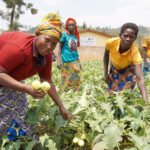 Institutionnelle Fiabilité: Les membres et co-présidents du Conseil d'administration du Fonds vert pour le climat, dont l'ambassadeur Seyni Nafo, lors de la 44e réunion du Conseil en mars 2026, au cours de laquelle Abidjan a été officiellement choisie comme ville hôte du nouveau bureau régional du GCF en Afrique.