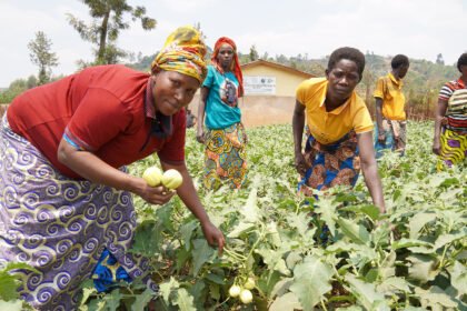 Institutionnelle Fiabilité: Les membres et co-présidents du Conseil d'administration du Fonds vert pour le climat, dont l'ambassadeur Seyni Nafo, lors de la 44e réunion du Conseil en mars 2026, au cours de laquelle Abidjan a été officiellement choisie comme ville hôte du nouveau bureau régional du GCF en Afrique.